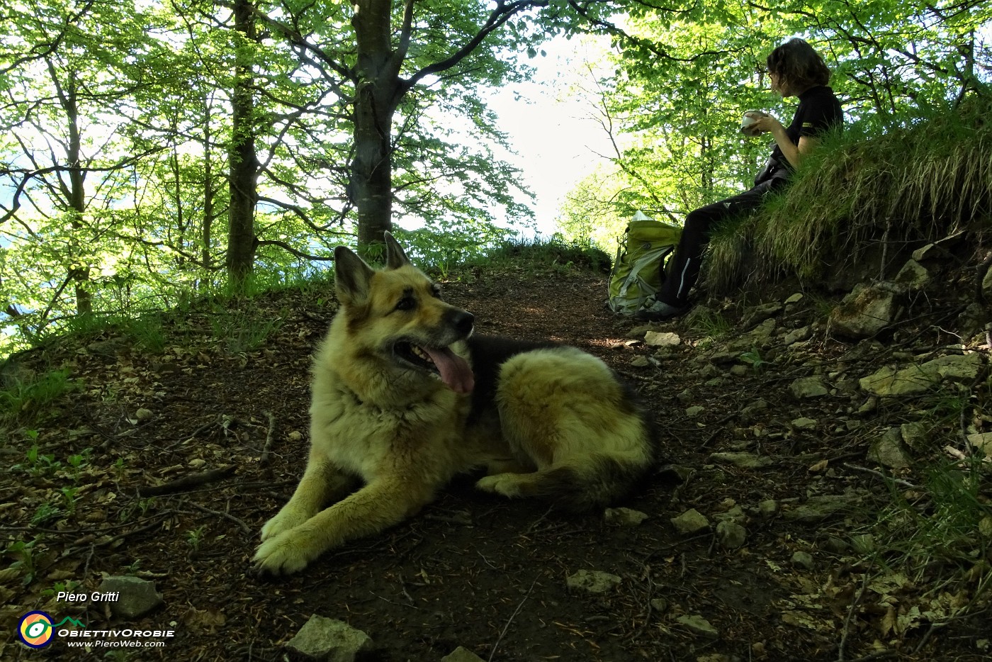 24 Entriamo nel bosco e sostiamo all'ombra.JPG